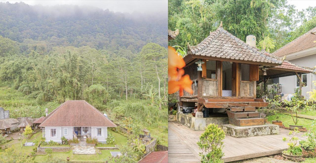 Four Monkeys House Vila Bedugul  Exterior foto