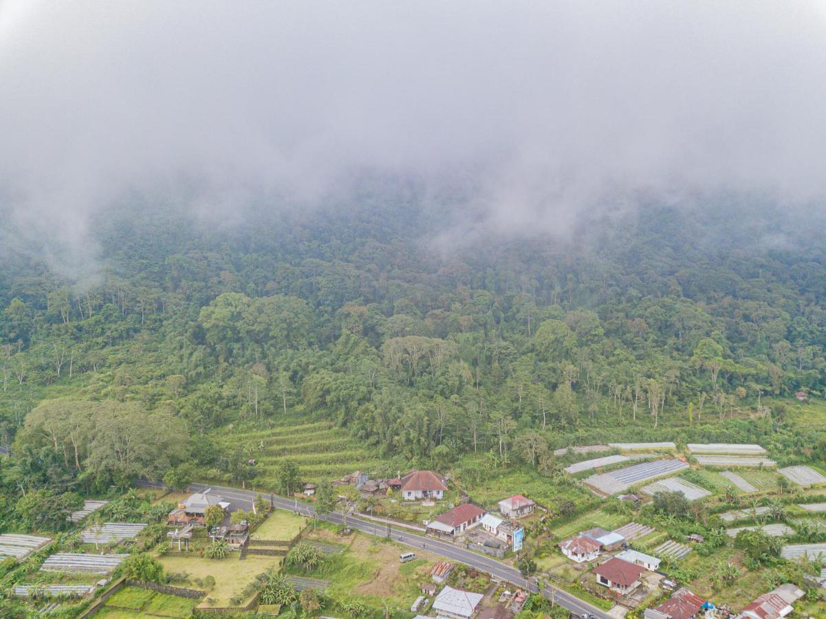 Four Monkeys House Vila Bedugul  Exterior foto