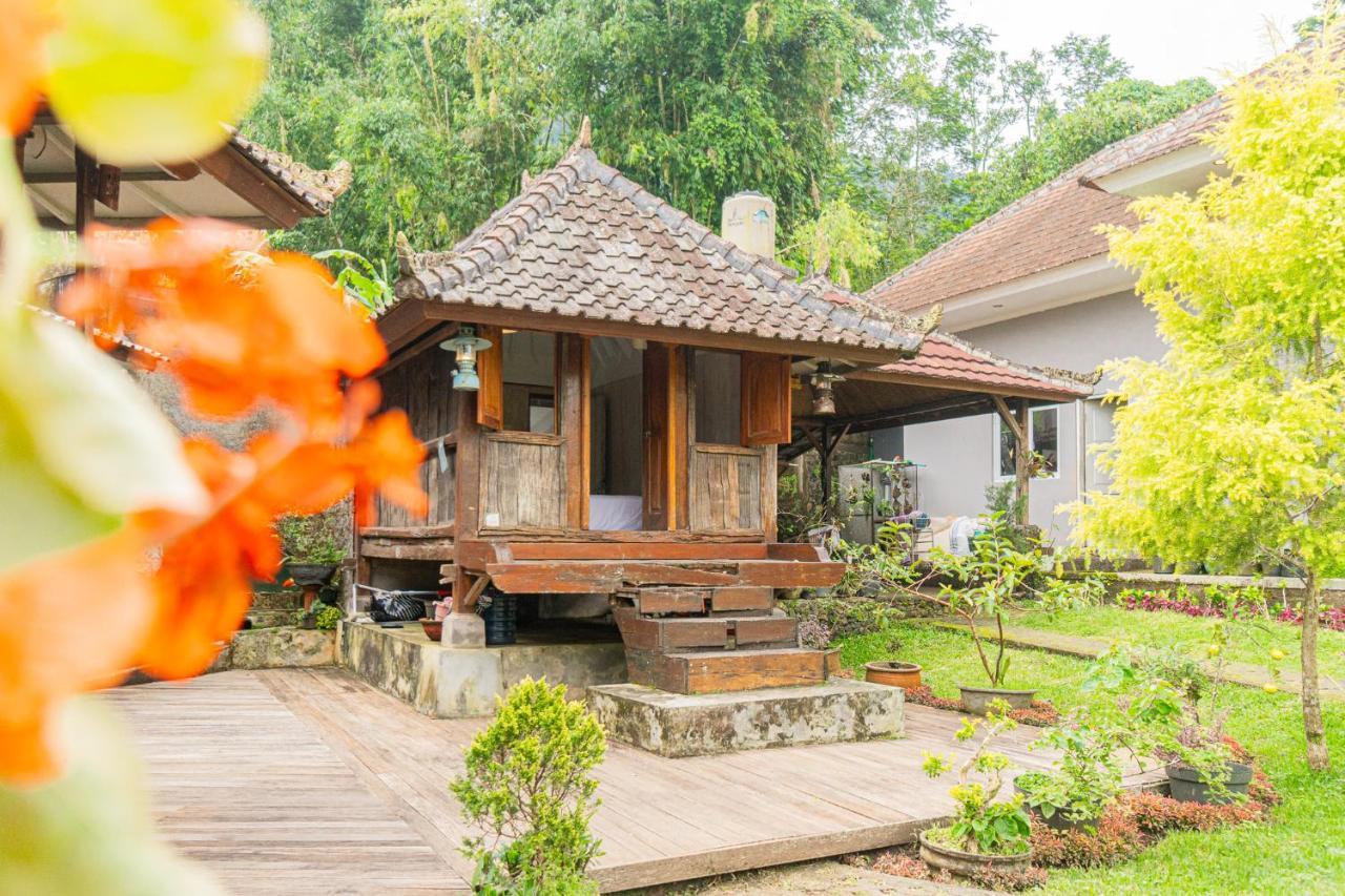 Four Monkeys House Vila Bedugul  Exterior foto